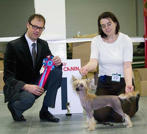 Vernisazh Mari Penilopa