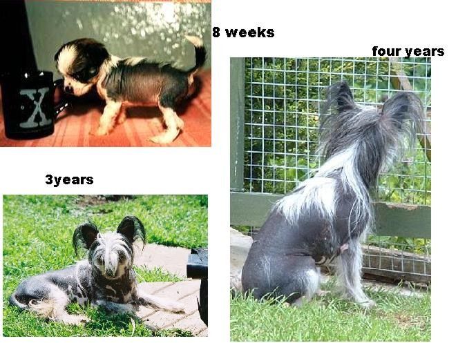 Jhanchi Xtra Special  Lady 