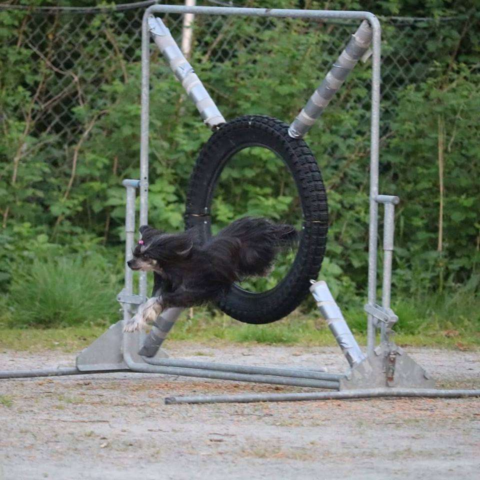 Coco Chanel av Hlbari