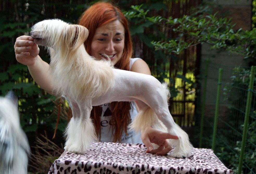 Klementyna Motylek Bialy