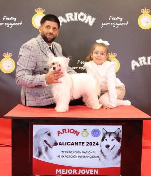 JCH.Coromar Kitty Doll