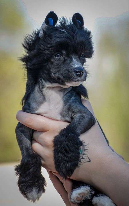 Maybell's Piece Of Mischief