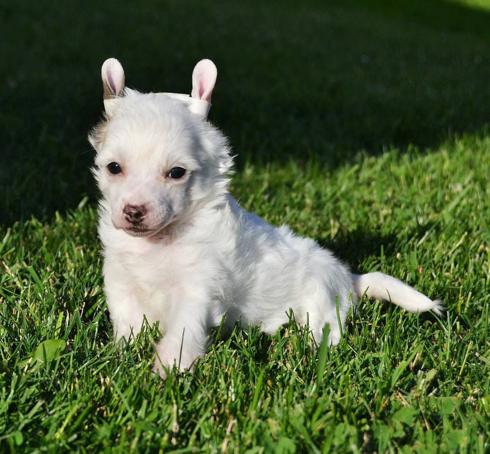 I'm In Love Heybett Jemalle