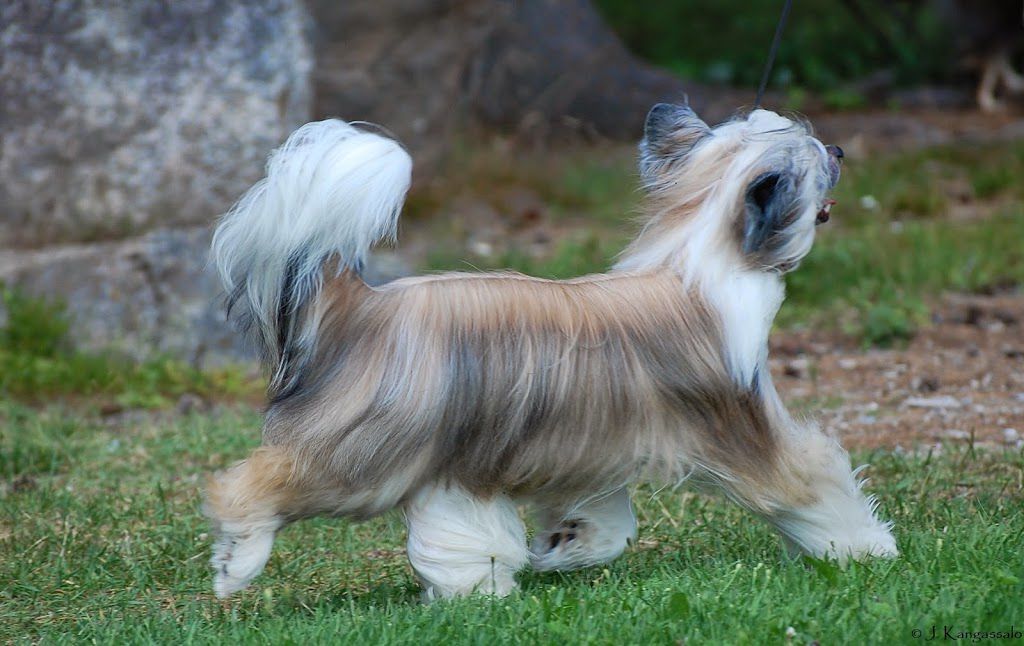 Arte Figure Inspiration