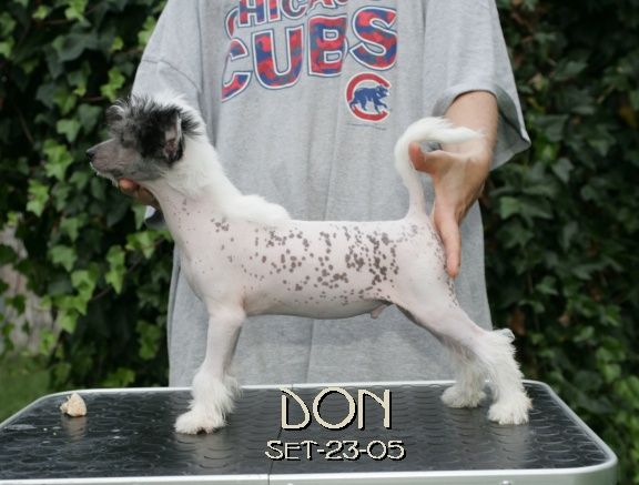 Don Giovanni Della Castafiore 