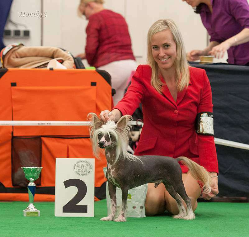 Casanova Pupo-Haichi