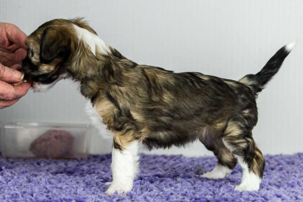 Black-Diva's Omg The Girl Is Mine