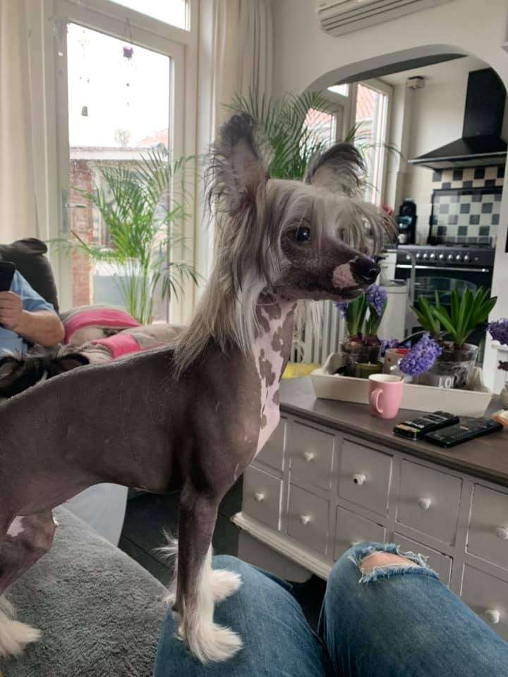 xtreme Lovely Diamond Place