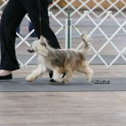 Sundown's Final Destination