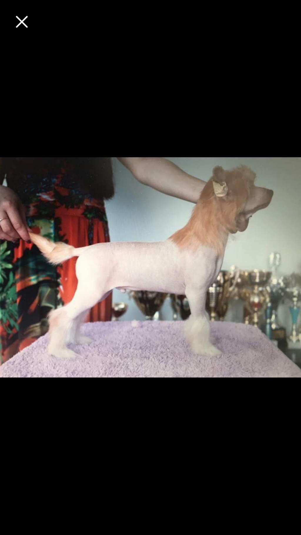 Credi Nei Sogni Magma