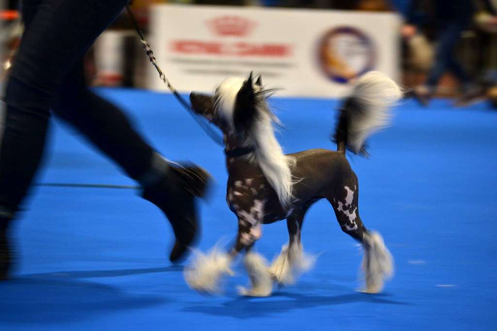 Moon Harbour Odemare piguey