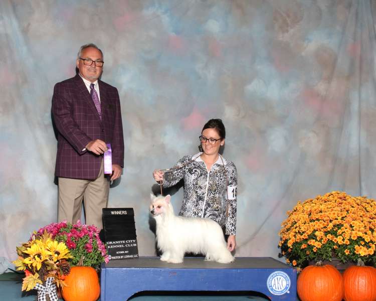 Ciao Bella?s Elegant Gemstone