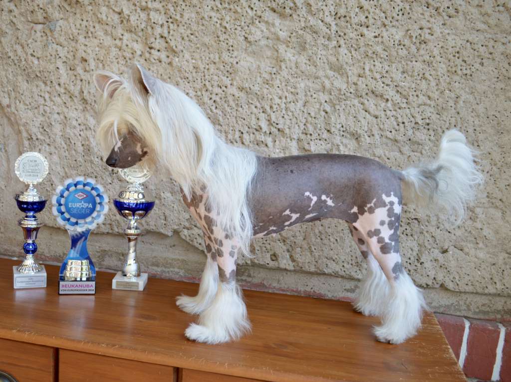 Just Girly Things von Shinbashi