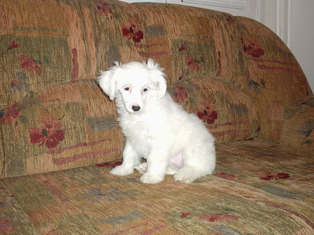 Connor Sarah Zvonecek