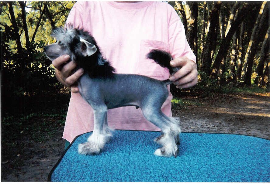 Palar Bad Case Of Loving You