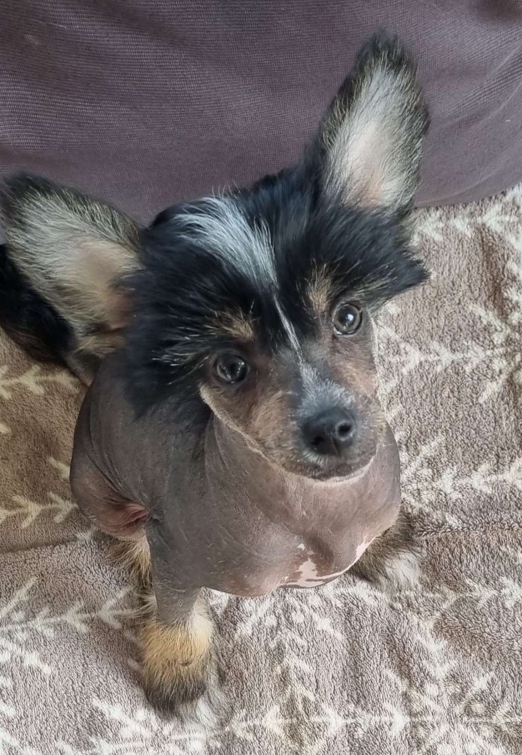 Epadalens Ill Be There For You