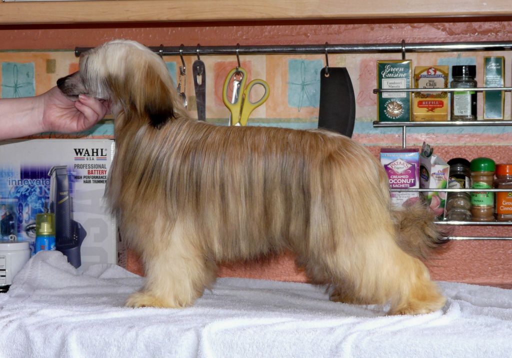 Epiphany Divine Bliss