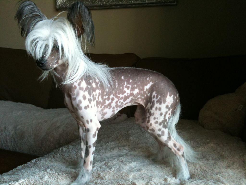 Madame Mimi Mina de Bullack