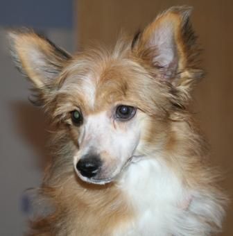 Adrenalin dlja ARTEMA from Khakasia