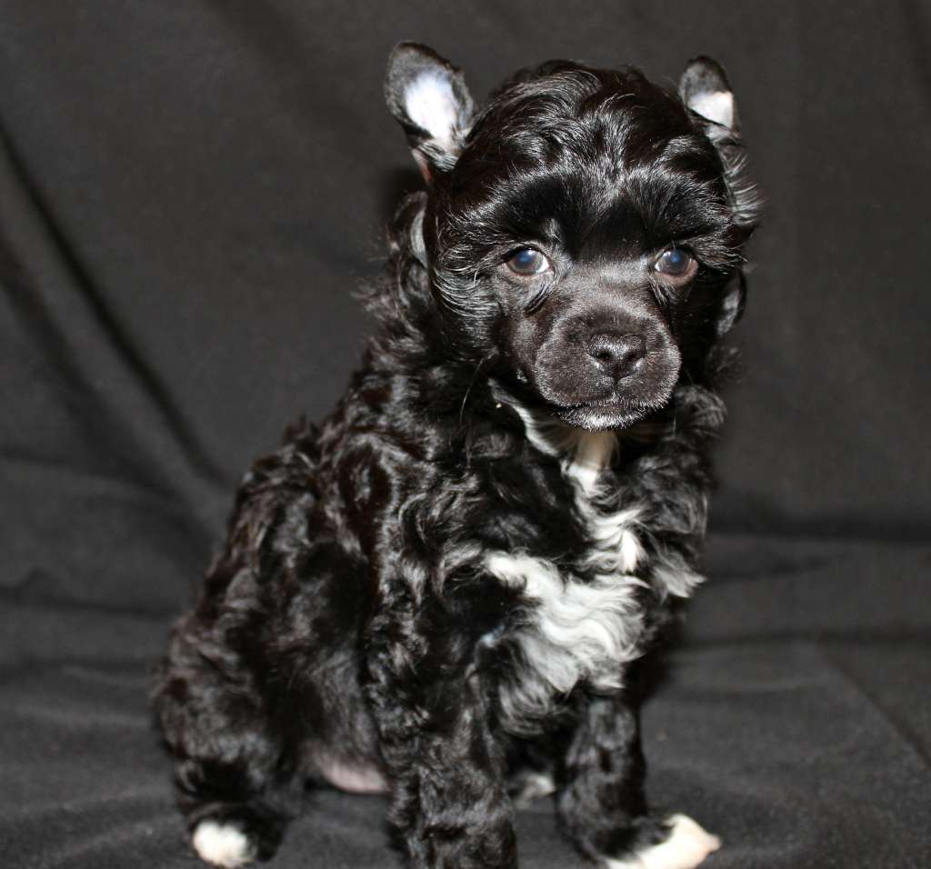 Teon Ilas Miracolo Dell'anima