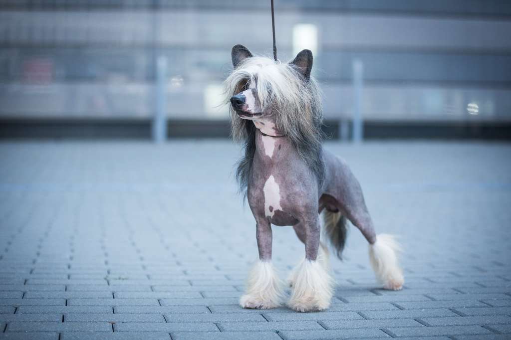 Kaylen's Makers Mark