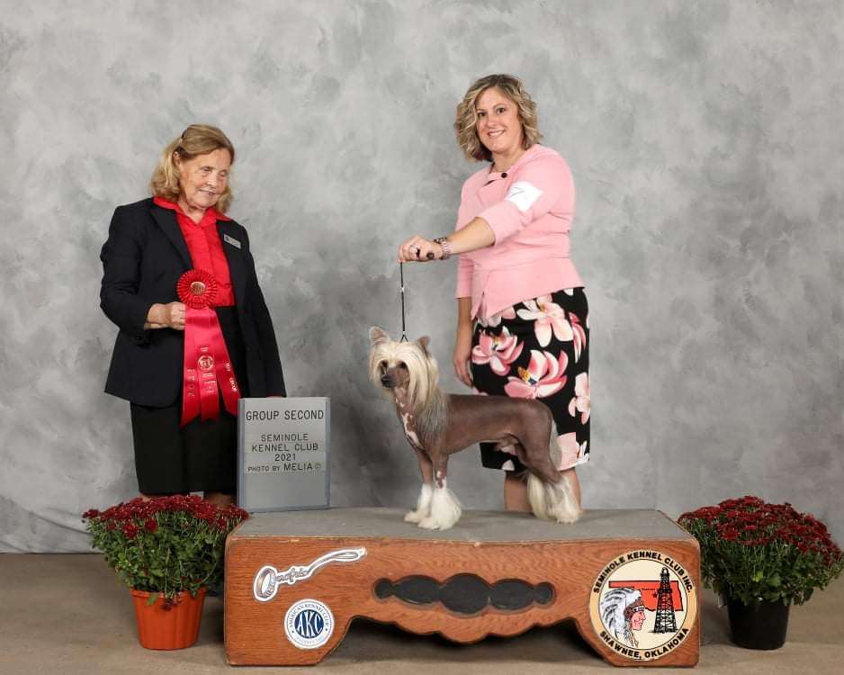 Roserok Klearly That Escalated Quickly