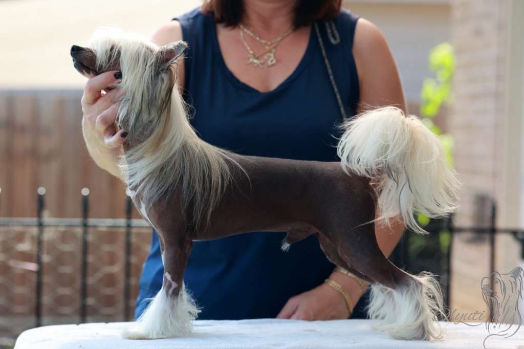 Olyuti's Just Destiny