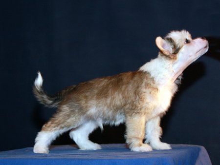 Zodellin All Right Now