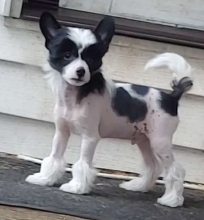 NV and Valour's Hold the phone