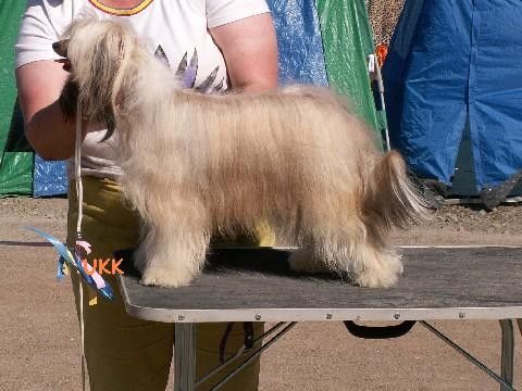 Halle Berry de GabriTho