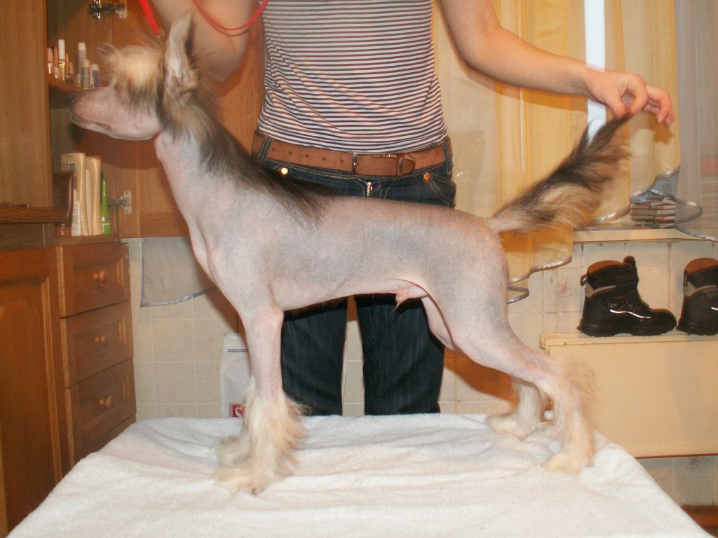 Apriori Vip Peperone