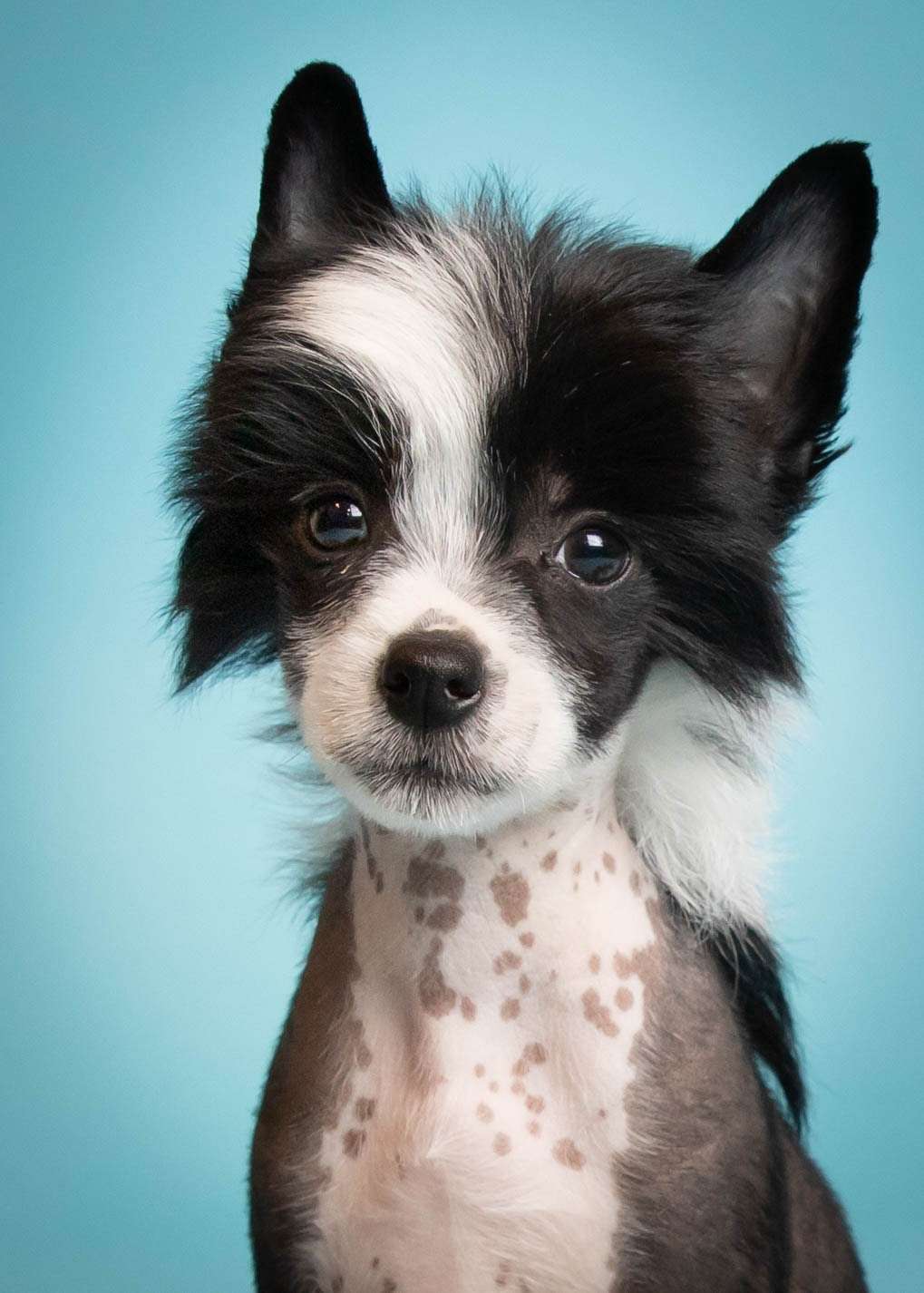 DeBahTrio Captain Marvel