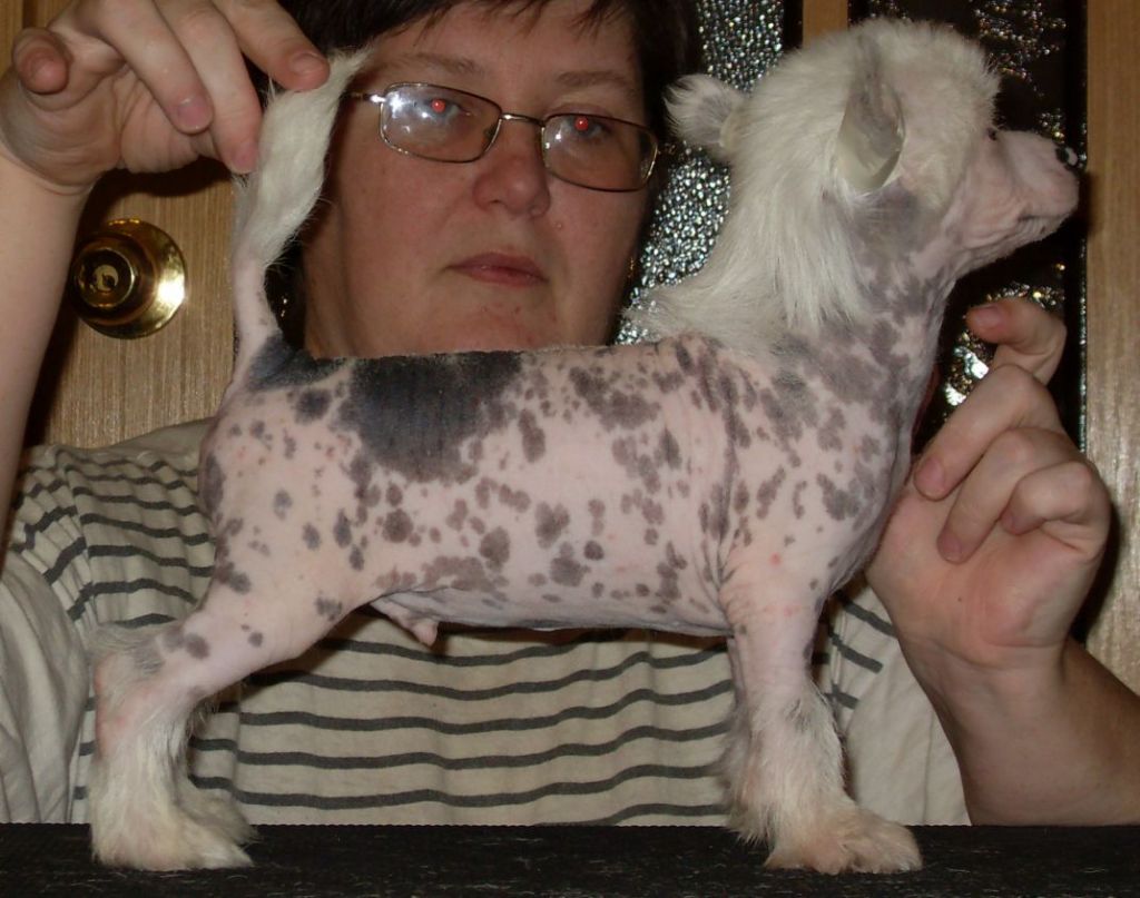 Fancy Style Paragvay