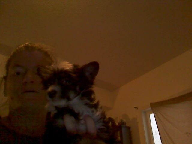 BlueIris's Winters Twlight PP