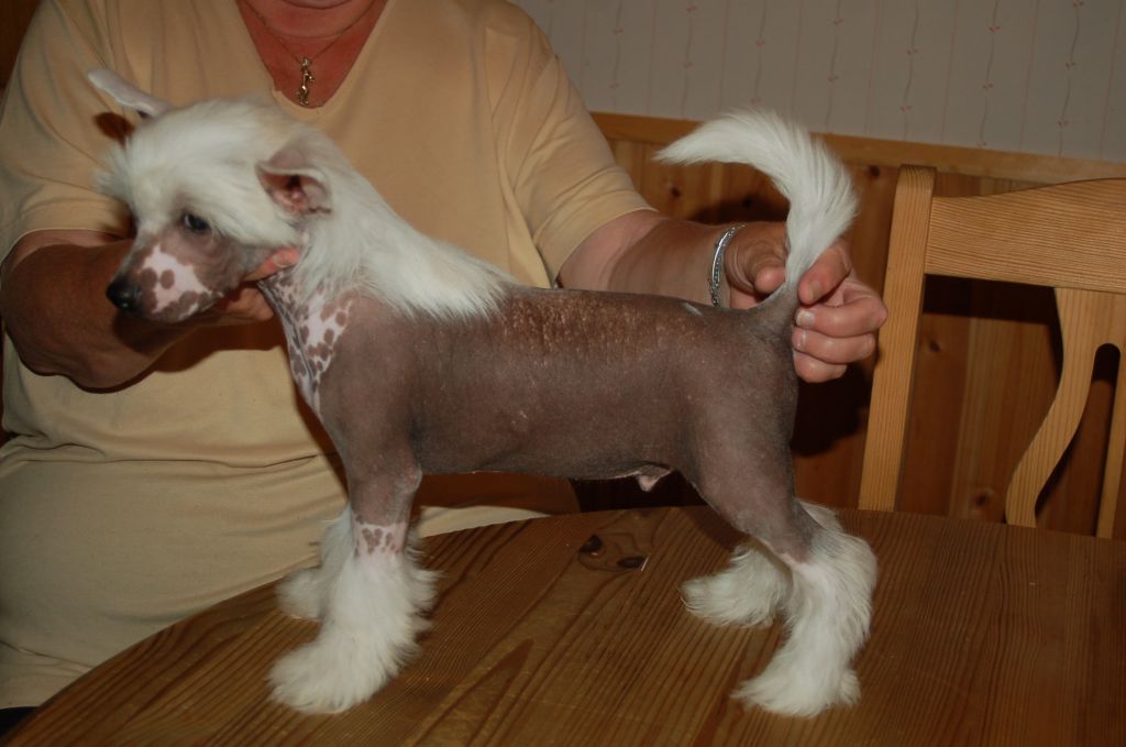 De La Mahafu's Cellatto Giovanni