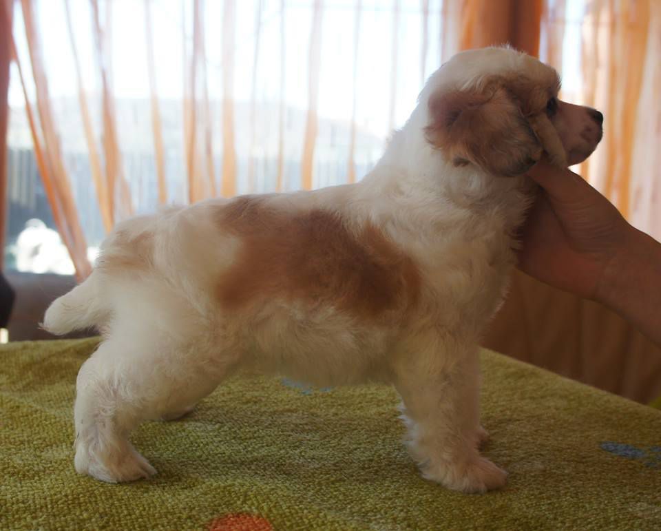 Sailor Moon de L'Essence de Mon Tout