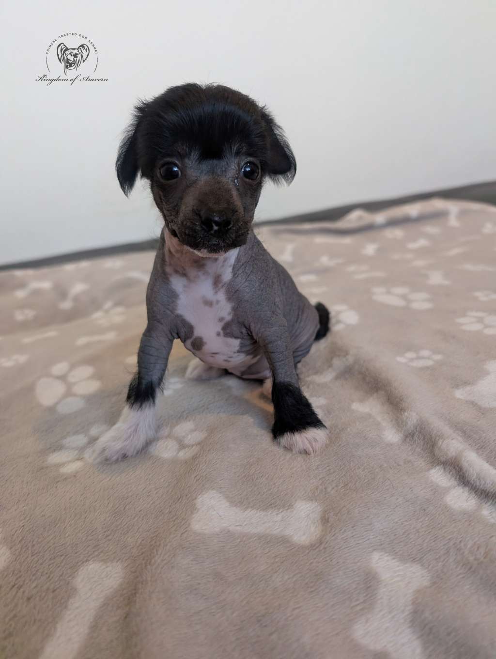 Be mine Kingdom of Aravern