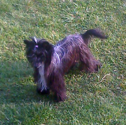 Hot Night Top Model De Rama