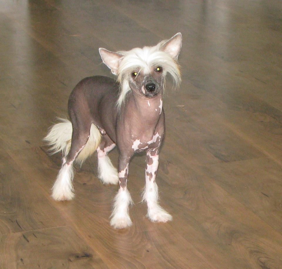 Wesann's Dark Knight