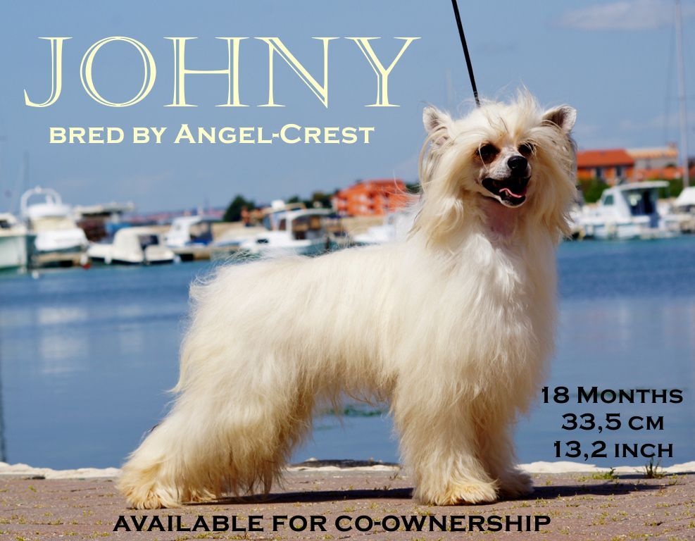 Blaze of Glory by Angel-Crest