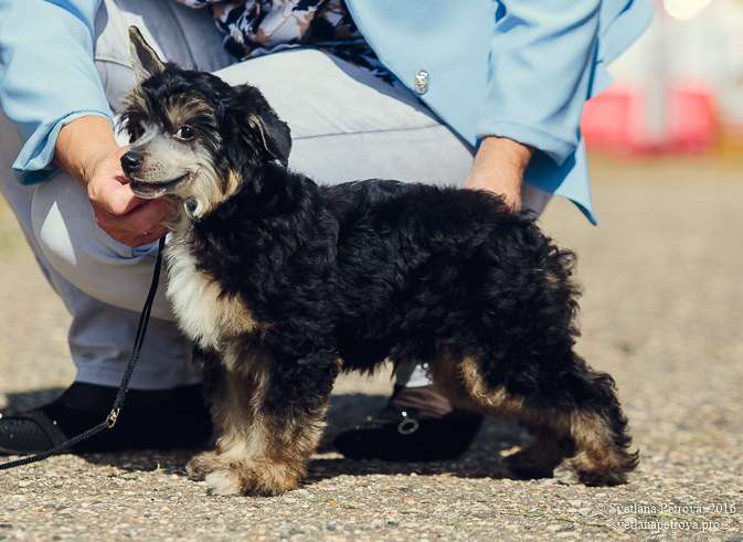 Endless KIss Choij Daydream