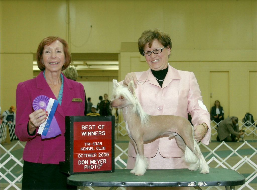 Bella Biche's Going For The Gold