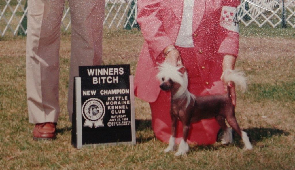 Lamplighter's Playboy Bunny