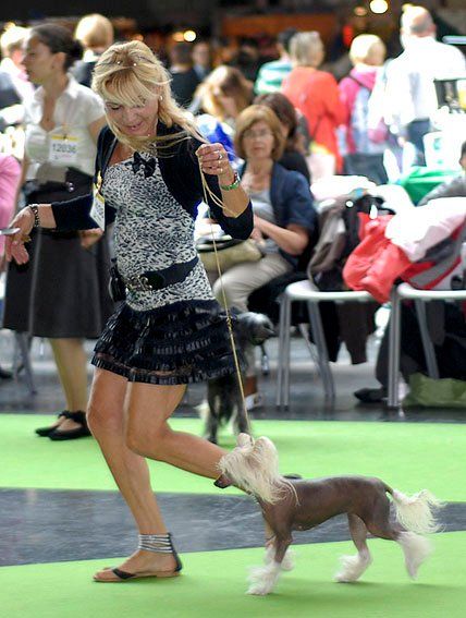 Oriental Jokes Diddlina