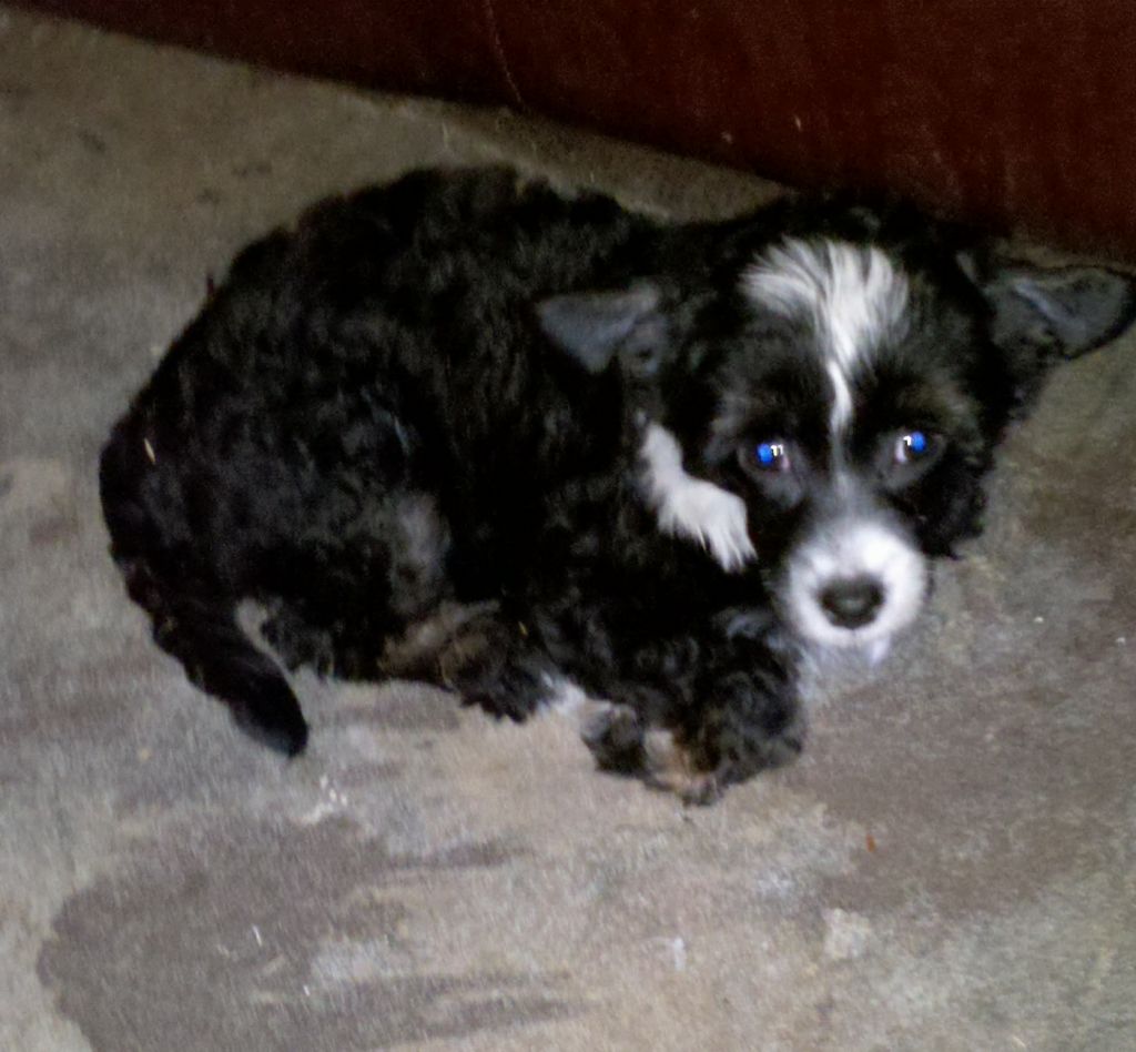 Altacrest's Friday I'm in Love