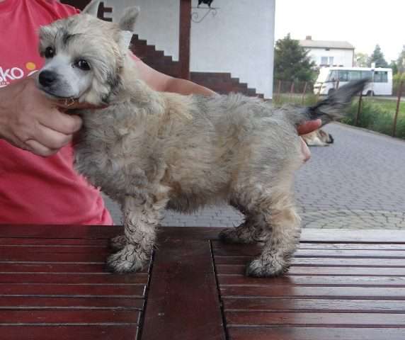 SUSHI z Lowickiego Ksiestwa