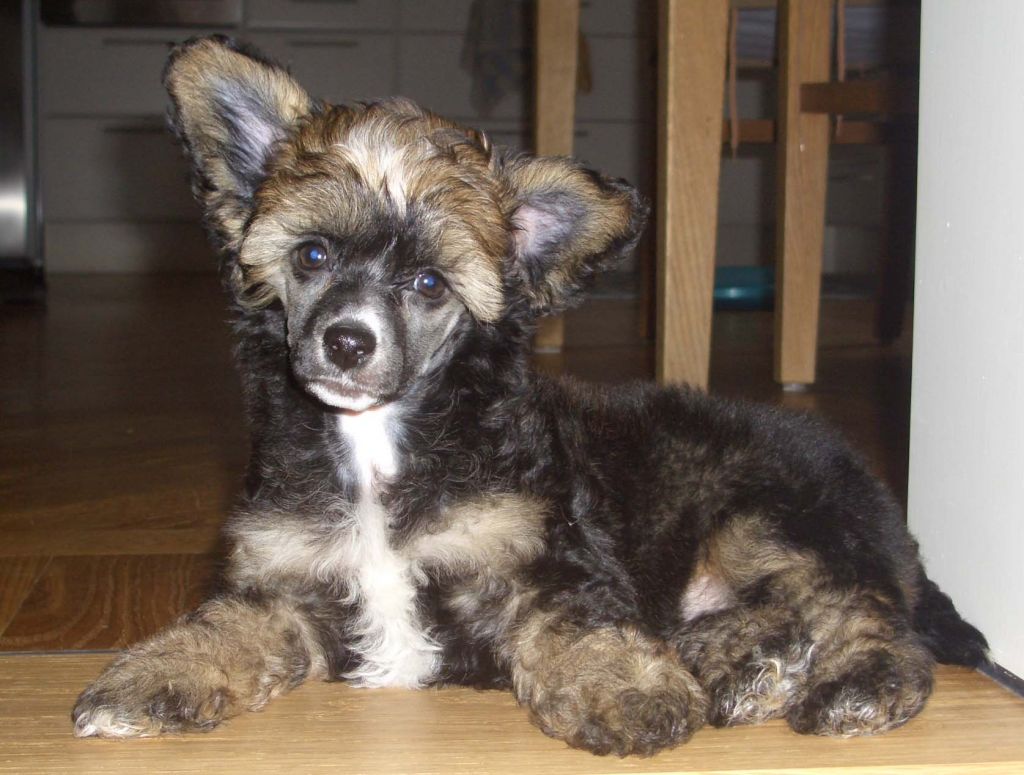 Sun-Hee's Spectacular Sight