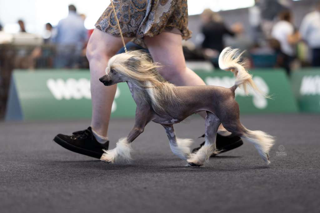 Kaylee Rose Olyuti Gattaca