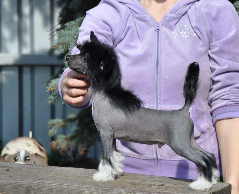 Lanvin Winning Smile