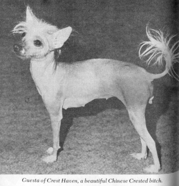 Guesta of Crest Haven